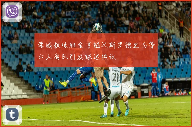 蓉城教练组金亨镒汉斯罗德里戈等六人离队引发球迷热议